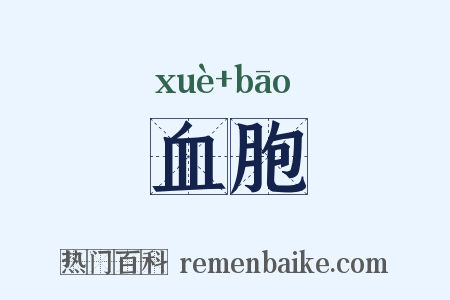 血胞是什么意思的图片